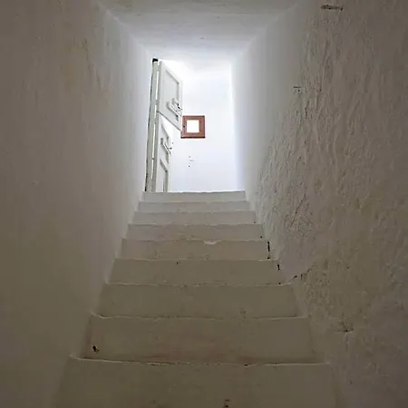 Il Segnalibro 3*